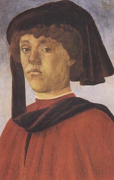 Sandro Botticelli Portrait of a Young Man Spain oil painting art